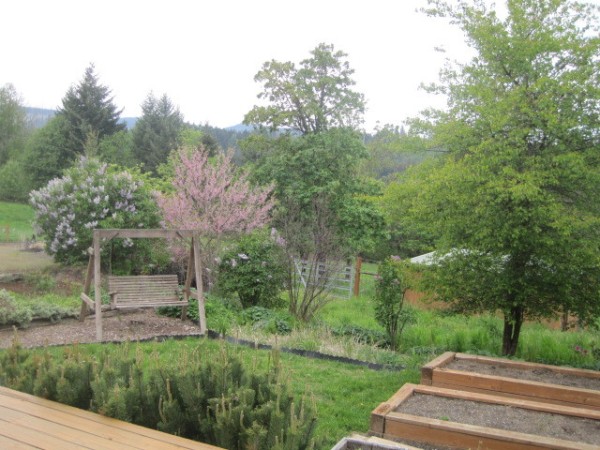 Front Deck & Garden