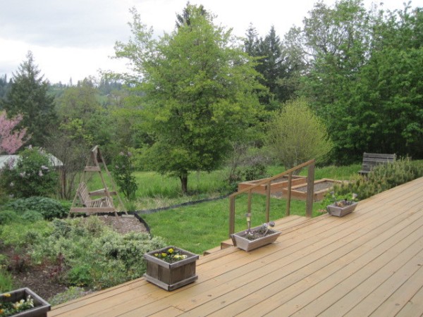 Front Deck & Garden