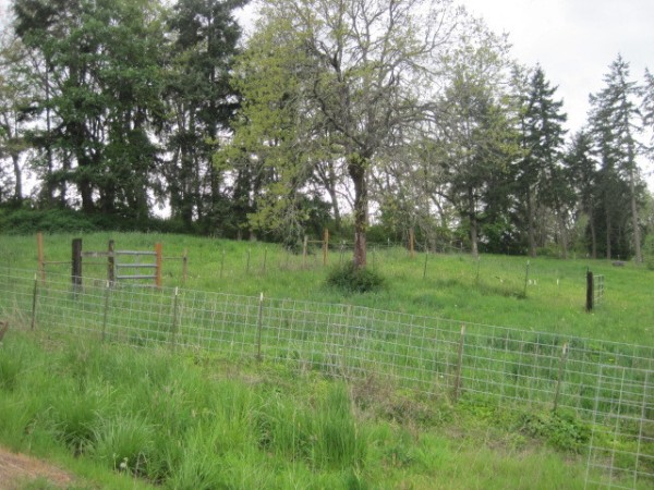 View of Acreage