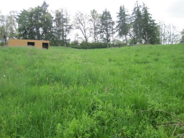 View of Acreage