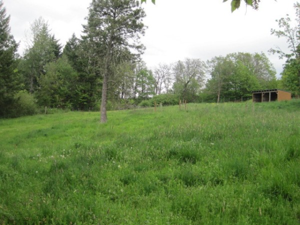 View of Acreage