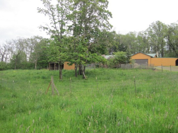 View of Acreage