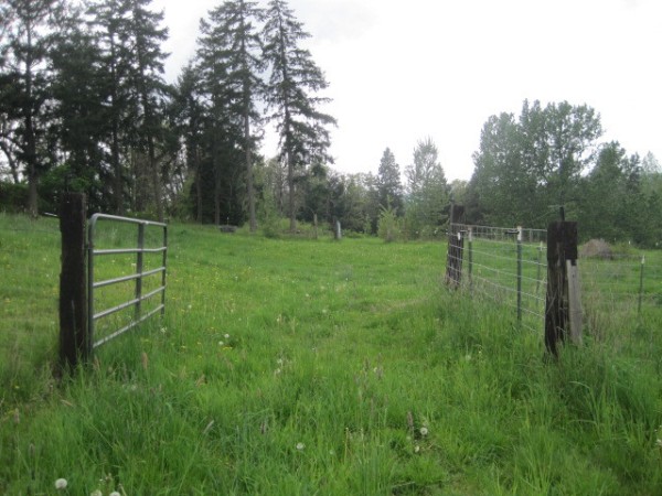 View of Acreage