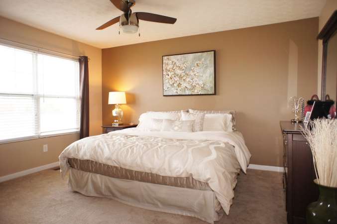 Ceiling Fan & Large Window