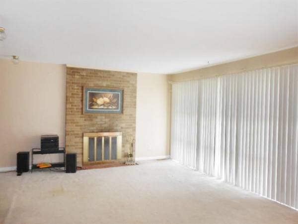 Living Room w/Wood-burning Fireplace