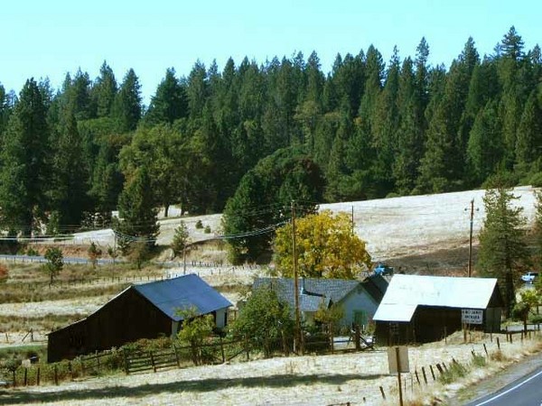 Located in beautiful Pioneer, CA