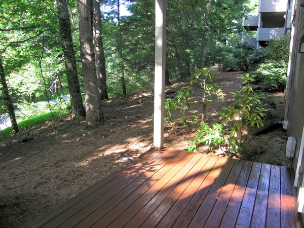 Wooded view from deck