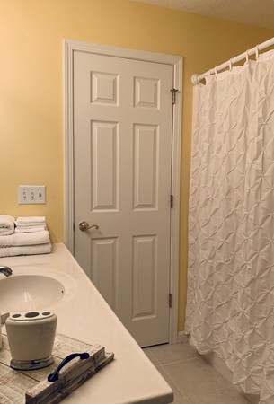 Master bathroom, tub and shower