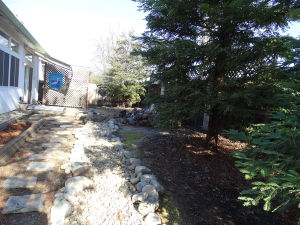Redwoods, faux dry creek bed, low maintenance backyard